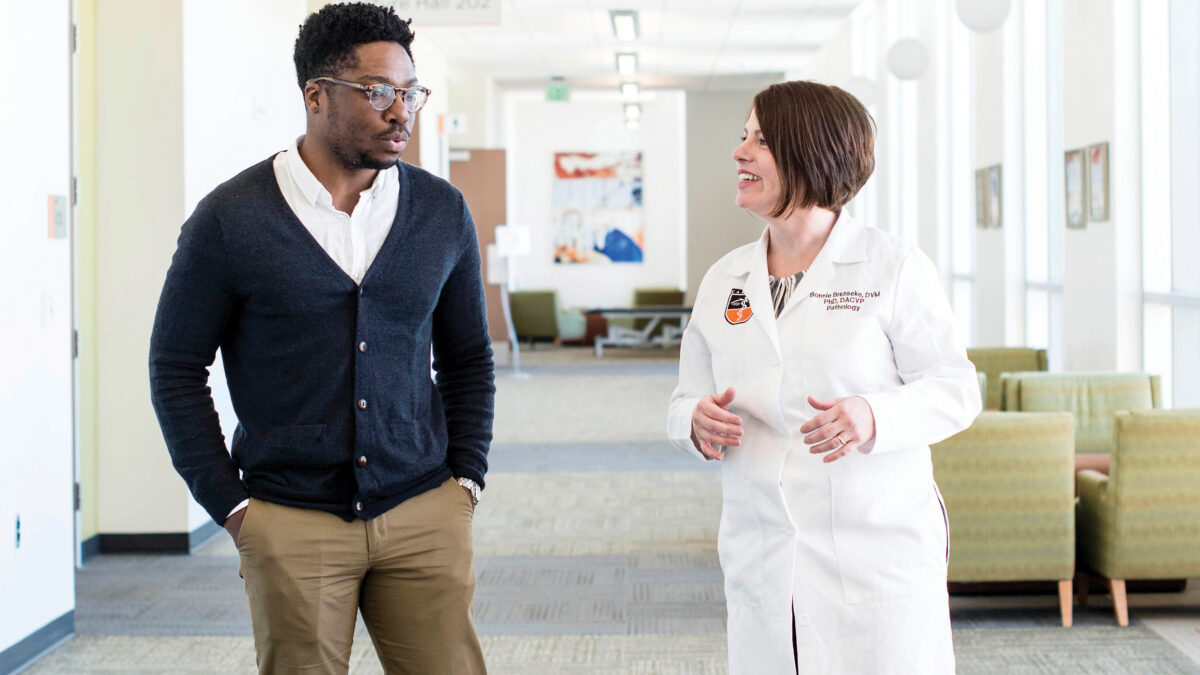 image of medical training