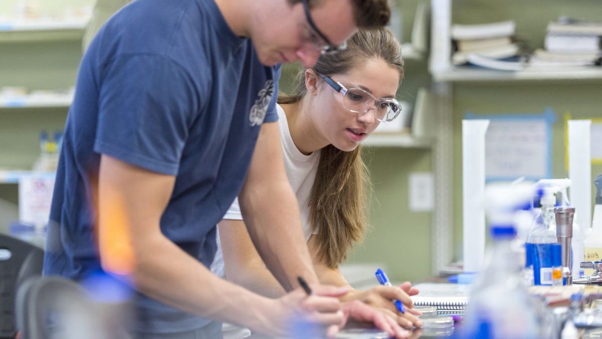 image of students in class