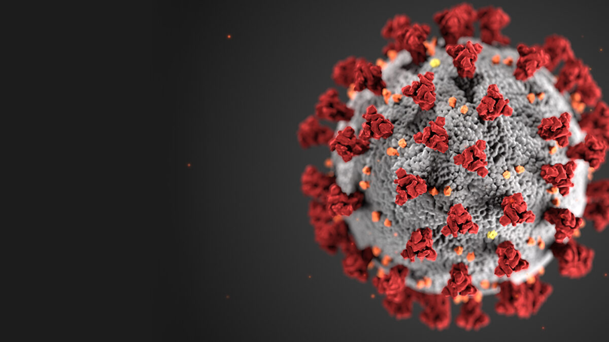 image of covid19