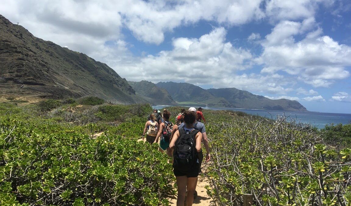 Students walking away from camera on sunnyhillside path