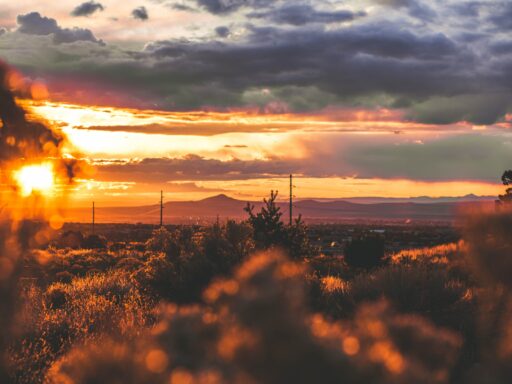 Sunset in the desert