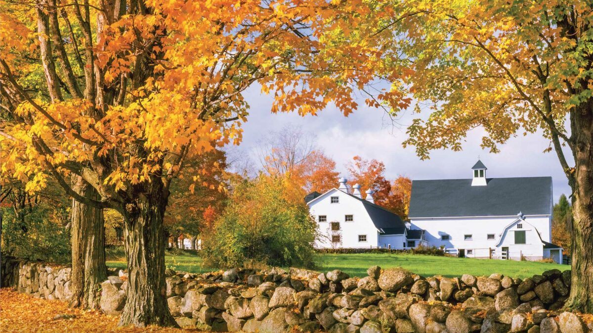 New England RPA report image